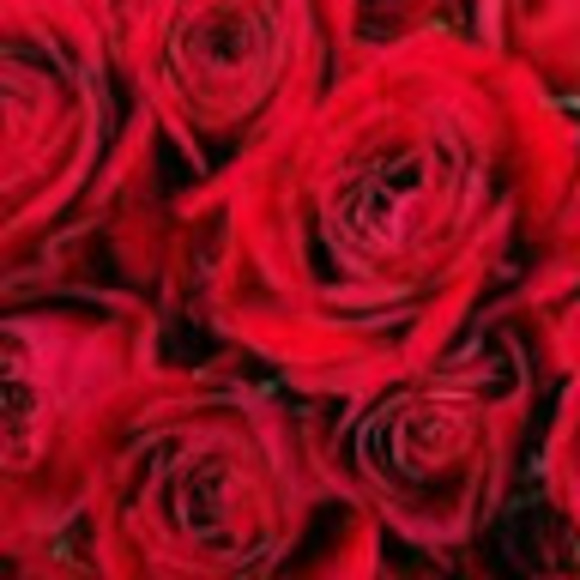 Meet your Posher, Sophie - Picture 1 of 1